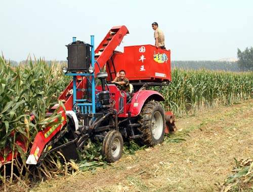 邹城：机械代劳61万亩玉米轻松收获(图)