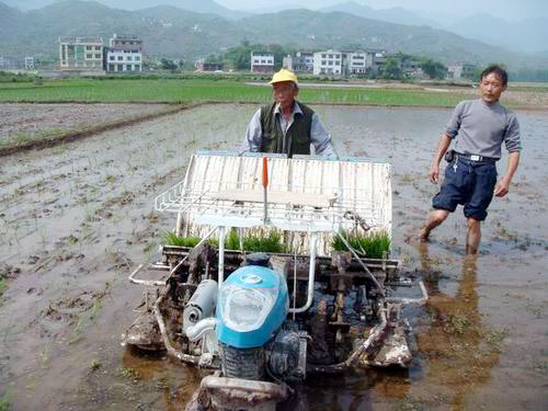 重庆开县一批农民驾着农机当上种粮大户(图)