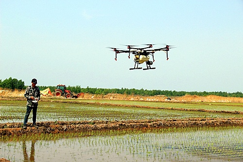 鸭绿河农场：无人机植保成新宠