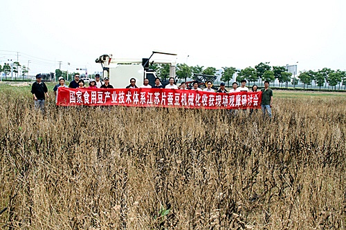 蚕豆机械化收获研讨会在江苏南通举办