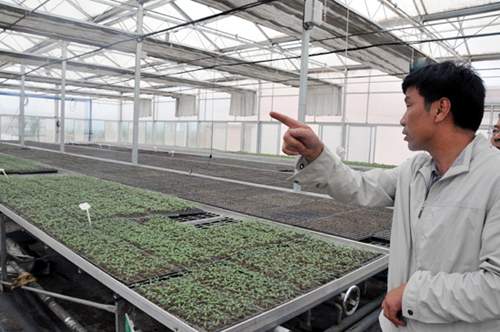 宁夏原州区设施农业效益稳步提升(图)