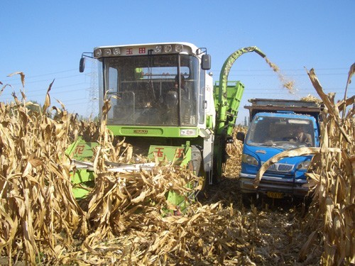 甘州区引进推广玉米青贮收获机