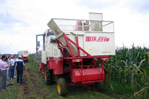 福田雷沃重工2008年玉米收获机演示会在莱州召开(图)