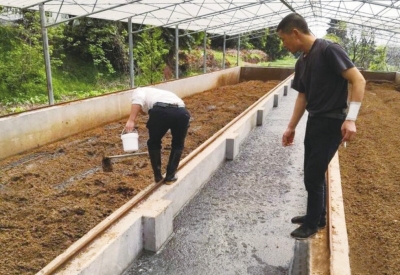 武义县探索发酵床运行影响因素