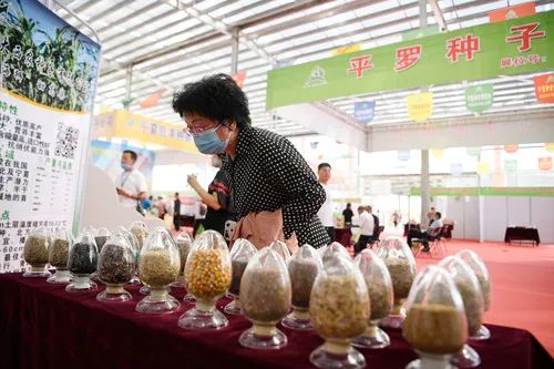▲7月27日，参会者在种业博览会展览现场了解种子产品。新华社记者 王鹏 摄