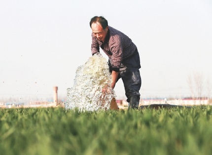 河北东光县　科学调度确保小麦春灌用水