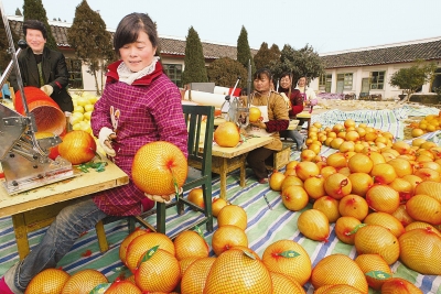 我家柚子卖到北京了
