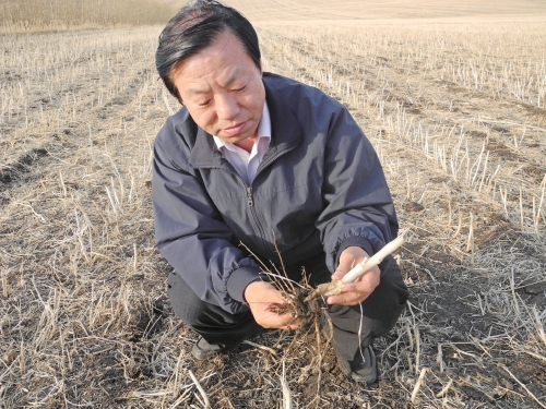心怀“国之大者”　倾心守护北疆农田生态