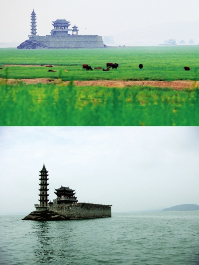 鄱阳湖万顷水面变“草原”