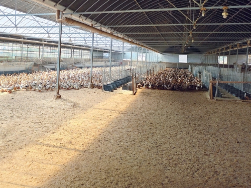 规模以下养殖场（户）畜禽粪污资源化利用十大主推技术发布