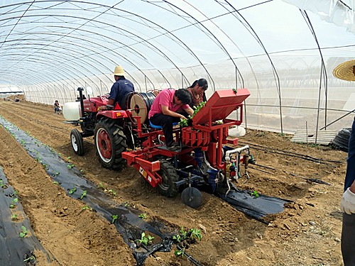 北京：农业生产配备“智囊团”