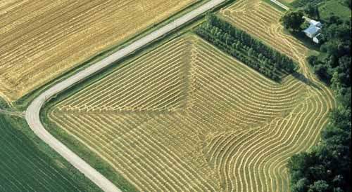 美国农场：一人耕种三千英亩(图)