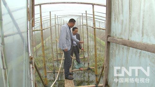 致富经：在别人不敢投资的荒地上发现新商机