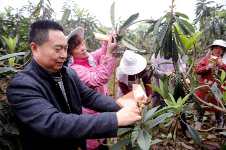 刘官权：村民致富带头人