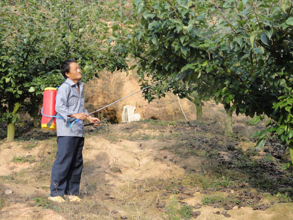 在福建创业的榕江人：异乡月亮一样圆