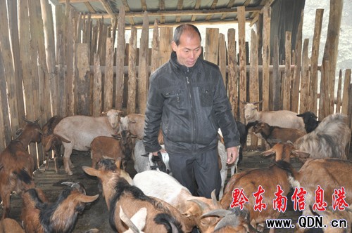 剑河农民曾祥银10年养羊走上致富路
