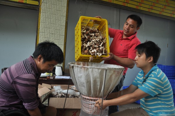 8月24日，盘祖坤和同伴在贵州省榕江县平永镇平永村冷库旁将香菇装袋外运
