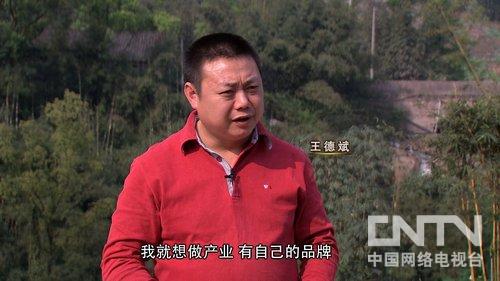 红提葡萄产业托起广西桂林资源山区农民增收致富梦