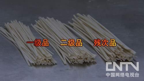 河北沧州市吴桥县：80后大学生眼泪背后的财富玄机（致富经）