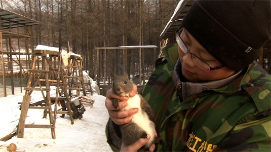 黑龙江五营区：爱上松鼠的“痴汉”