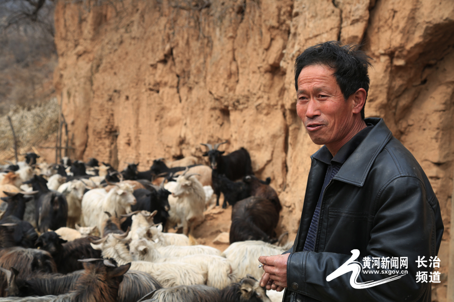 陈江奇：羊群是我家的“脱贫之宝”