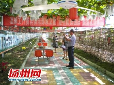 江苏扬州葡萄种植十年翻十番 高邮连标葡萄听音乐长大