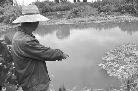 浙江湖州和孚镇白鱼养殖户的“清水鱼乡”梦