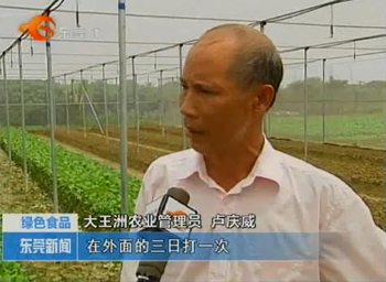 广东东莞市：自动喷淋种蔬菜 东莞试点无公害