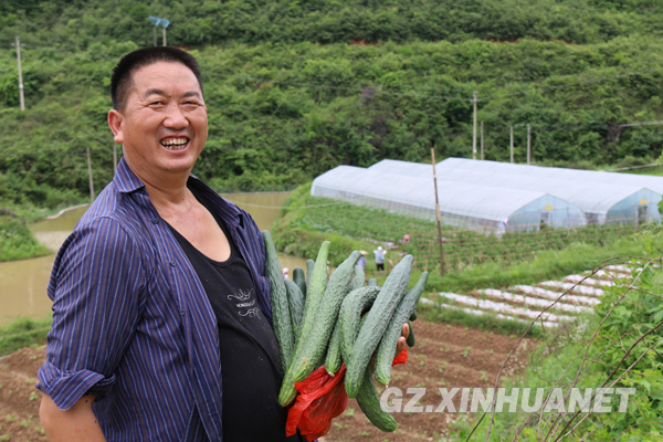 贵州黄平县：生态农业发展 农民增收致富