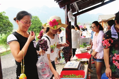 “懒人科技”让吴小建办厂种葡萄“两不误”