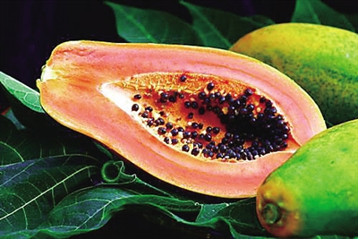 海南：3000亩儋州木瓜陆续成熟结“金瓜”