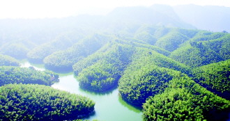 贵州赤水：生态农业“接二连三” 串起致富“金山银山”