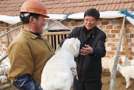 江苏如东县推广科学养羊力促农民增收