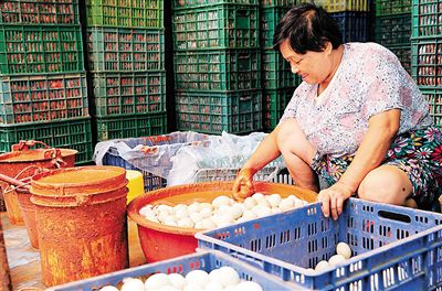 儋州王五镇的阿婆正在用掺盐的红泥腌制跑海鸭蛋。舒晓