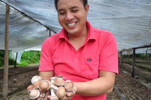8月24日，盘祖坤在贵州省榕江县平永镇平永村香菇基地采摘香菇，脸上挂满笑容