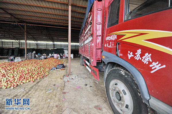 8月25日，来自江苏的客商在进步村蔬菜批发市场将购进的西红柿装车。