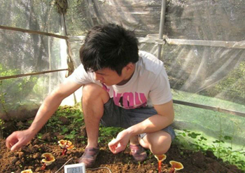 蔡军峰在灵芝大棚里监测土壤温度湿度（图）