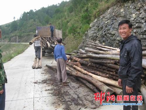 隆回县大水田乡木材成为村民致富产业