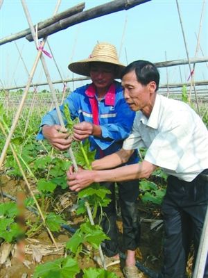 全国劳模李广彬带领三水1500多农户致富