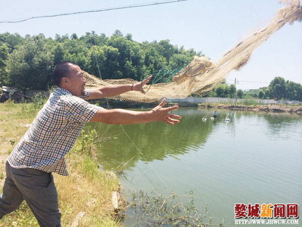 沈根荣：泥鳅游出致富路