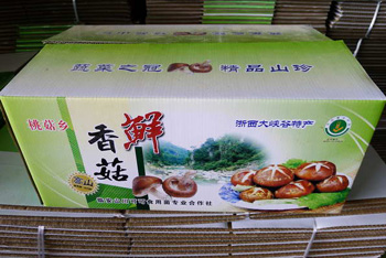 帅胜杭的香菇正在申请“桃菇乡”的品牌。