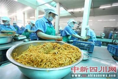 四川眉山：泡菜产业超百亿 助农增收过10亿