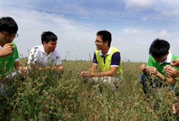 张振华（右二）与老师和同学们在苜蓿地里共同探讨问题