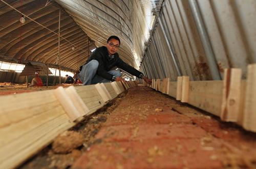 11月26日，曹荣在利用蔬菜大棚因地制宜改建的鸡舍里忙碌着。