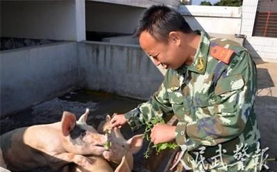 云南省：黄淼：“猪司令”的幸福生活