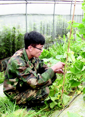 贵州六盘水市：三个80后志愿者的蔬菜经