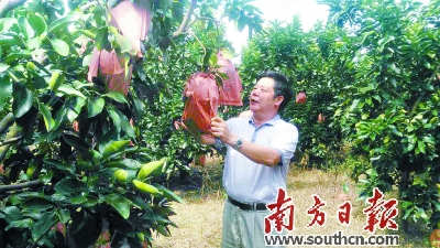 黄营胜：山沟沟里走出的水果销售大王