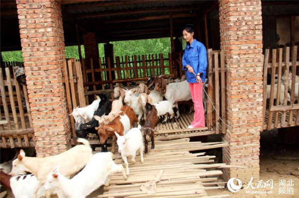 女大学生回乡创业养山羊 带动村民发家致富