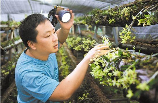 浙江仙居县：大学生回乡创业 坚持生态种植法