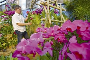 海南三亚：兰花种植助农民致富